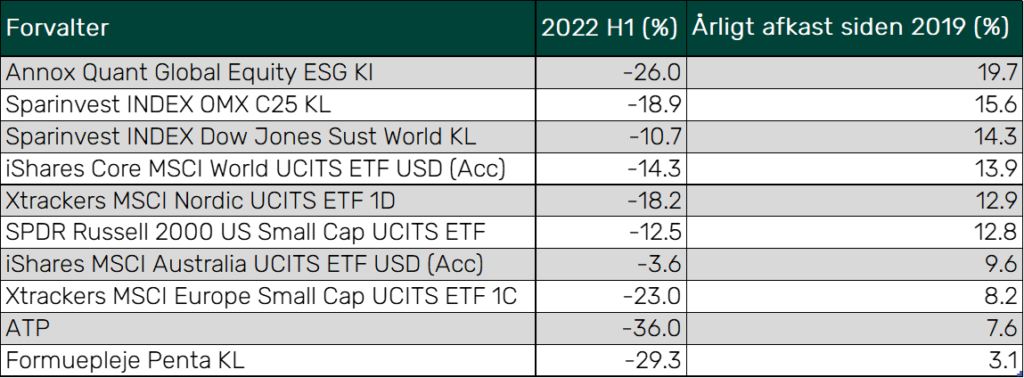 halvaar2022 stor